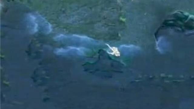 （三）大熊臻享版，54护甲斧王，接近物理免疫