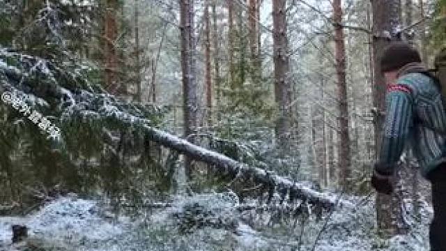 #野外生存技能 #野外生活纪录片 #农村原创视频 #野外生存 #户外求生技巧