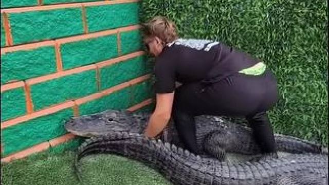 谁还不是个乖宝宝