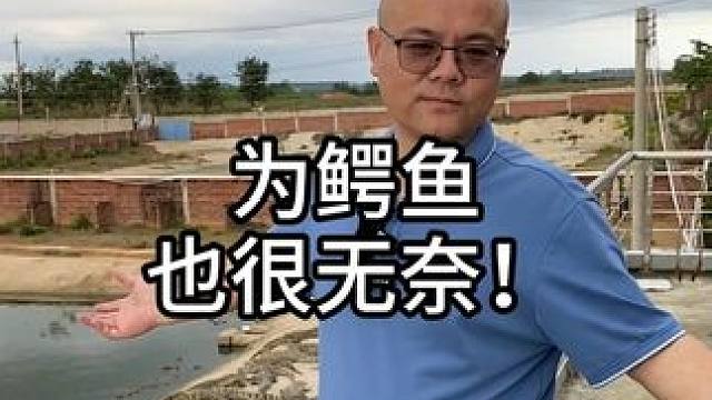 你们羡慕公鳄鱼吗？ #鳄鱼 #鳄珍 #皮带