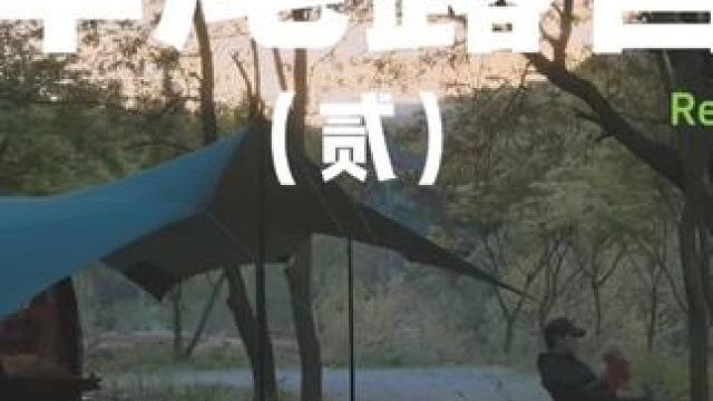 车尾露营（贰）
露营其实很简单，在车尾拉个天幕就能愉快玩上一把，快带上狗子出去亲近大自然吧~
 #露