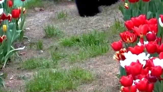 爱宝最大的幸运就是遇见了姜爸~