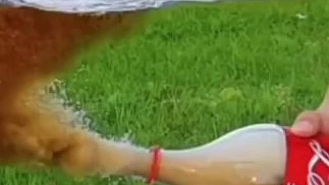 科学的力量有多强大，最后一个惊掉下巴#科学小实验 #趣味实验 #物理实验 #生活小实验 #家庭小实验