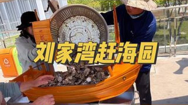 赶海想收获满满，推荐你来刘家湾赶海园，有专业的赶海大队，让你分分钟爆桶#花式过五一赶海刘家湾
#刘家