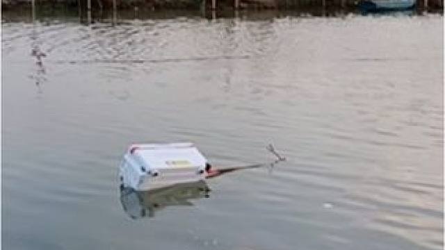 五一假期你们钓了几条青鱼？#钓鱼 #用钓鱼开启五一假期 #钓鱼人 #黑坑