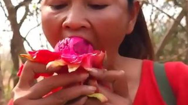 寻找火龙果和野鸭蛋作为食物-鸭蛋在地上烤为晚餐 #野外生活纪录片 #来自远山深处的生活 #我的乡村生