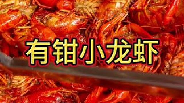这家小龙虾中午就能打包，适合不太能吃辣的朋友，名字好听有钳小龙虾#又到了吃小龙虾的季节 #小龙虾 #
