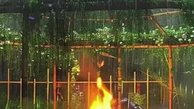 建造露营庇护所 #荒野建造 #野外建造 #庇护所