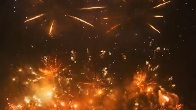 五一快乐！迟来的花花也想和你分享哦