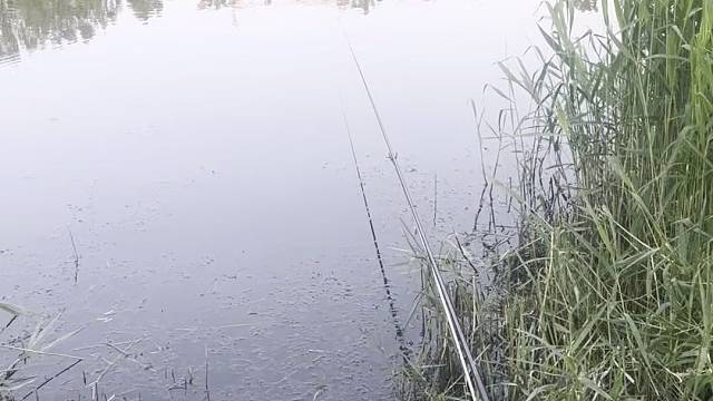 资源越来越差了