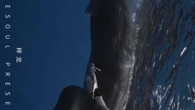 追鲸的快乐永无上限
出镜：梓龙
拍摄：BlueSoul
#画面太美 #住进风景里 #水下