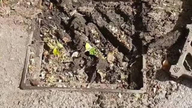 我发布了一个新视频，快来围观吧！