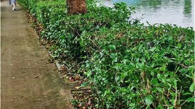 钓友表示，我们是没有见过鱼是吗？#用钓鱼开启五一假期 #钓鱼人 #钓鱼 