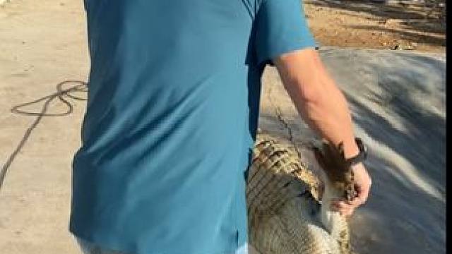 你喜欢的鳄鱼皮产品我这都有！ #鳄鱼 #鳄珍 #皮带