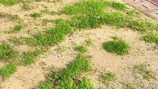 孩子一直在吃的#蓝莓叶黄素软糖 现在这个价到5瓶了！酸酸甜甜的口味很好吃，独立包装很干净随身备着很好