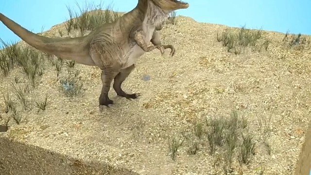 恐龙的化石是怎么形成的？