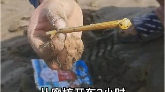 今天不上班，放天假#廊坊 #廊坊搏击#廊坊赶海 #廊坊吃喝玩乐 #廊坊美食