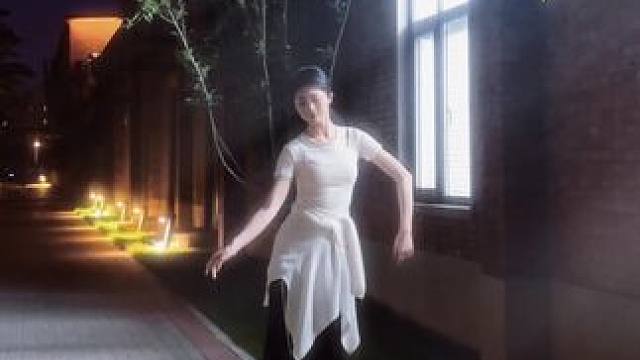 疏影横斜水清波，暗香浮动月黄昏 