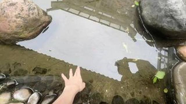 辜负真心的人吞一万根银针