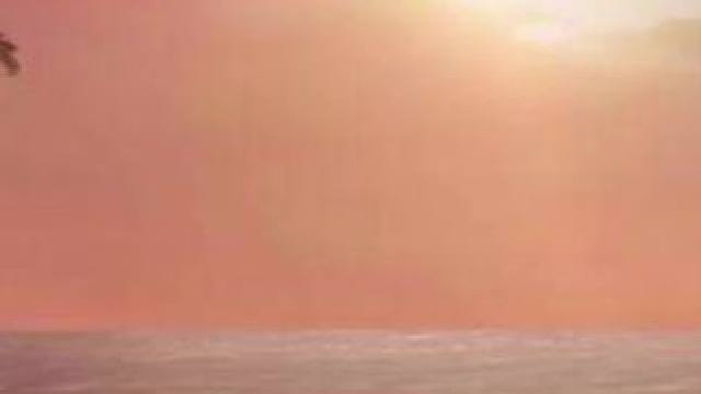 最新力作#汤姆汉克斯