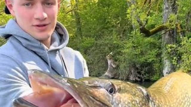 #国外视频分享 #好大一条鱼 #钓鱼的乐趣只有钓鱼人懂