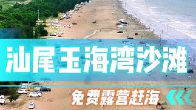 深圳开车一个半小时直达的免费露营赶海好去处，小车直达，视频后面有详细路线，可露营赶海烧烤过夜冲浪，喜