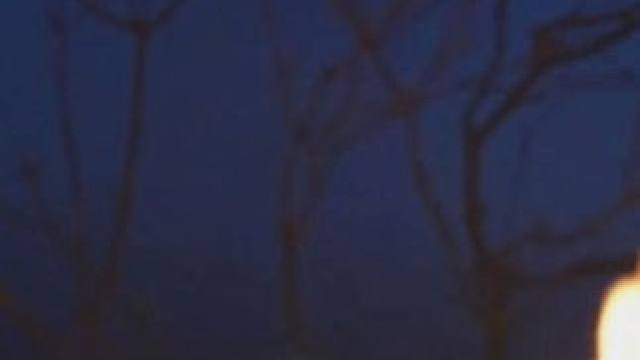 内心丰盈者，独行亦如众。 #露营 #户外露营