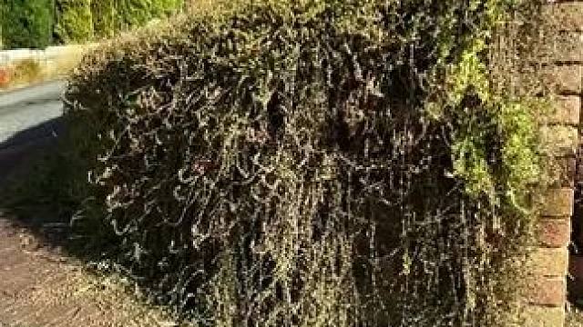 我发布了一个新视频，快来围观吧！