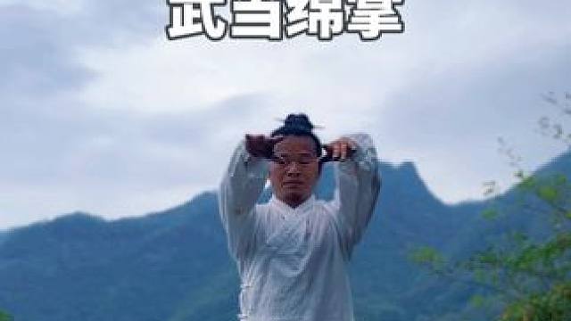 武当绵掌 刘老师可钢可柔把武当武术发挥的淋漓尽致#武当山 #武当功夫 #武当绵掌