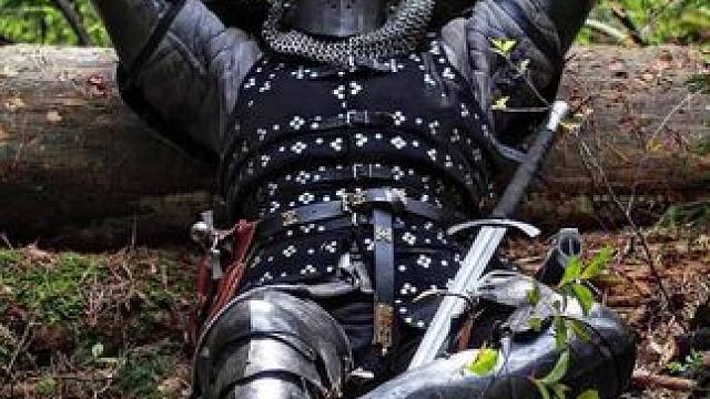 板甲骑士#冷兵器 #甲胄 #盔甲