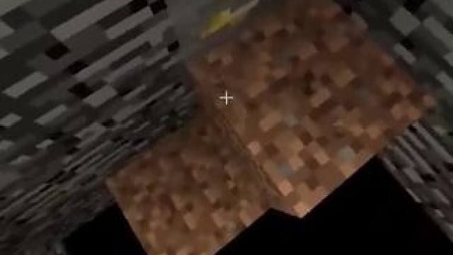 #Minecraft #我的世界 #方块怪盗追捕行动 #我的世界撸树计划