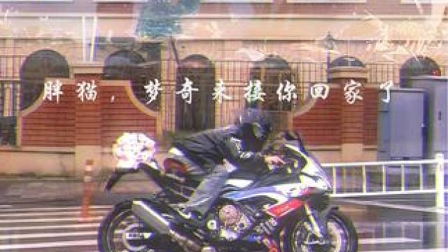 刷到一次哭一次，胖猫，下辈子对自己好一点，晚安胖猫 爱人先爱己，择人先问心，大家都要好好爱自己啊#胖