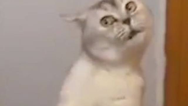 宝，你长的有点像人～～～