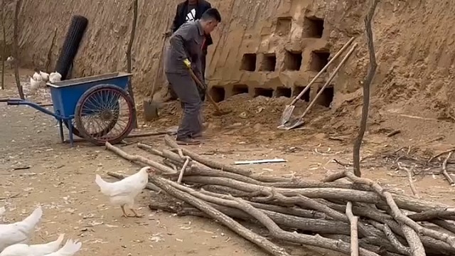 鸡下蛋的小屋[赞]