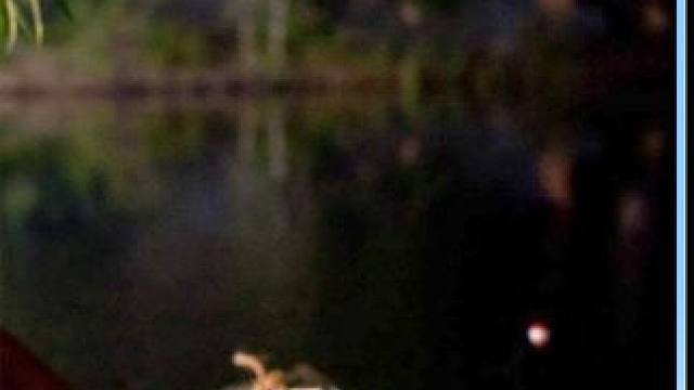 两兄弟只因长得凶悍，被误以为是杀人狂，引发一系列的惨案#电影解说