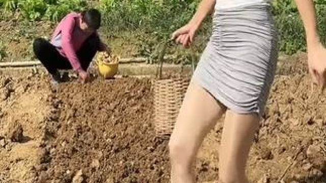 你知道花生是如何加工的吗？看完制作过程你还敢吃吗？#花生 #好物分享 #解馋 #美味一刻满满是真 #