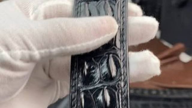 鳄鱼养得好，皮带才能好，要好皮带找我们！ #鳄鱼 #鳄珍 #皮带