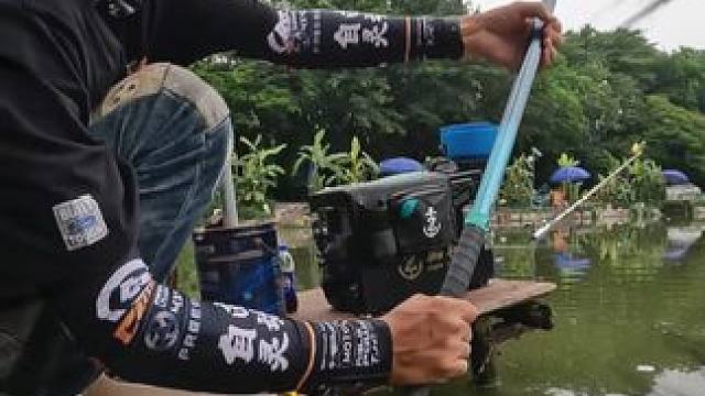 想当年我就是用这一招征战广东各大青鱼钓场 #黑坑草鱼 #钓草鱼技巧 #草鱼饵料