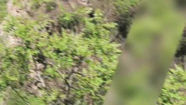 #欧诗漫精准养白