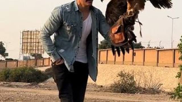 国外小伙的宠物金雕 #国外视频分享 #奇妙的动物 #金雕