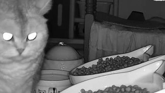 蛋蛋五一留守第二天 