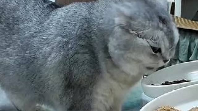 你们说想看出房间后的蛋蛋（这是库存） 