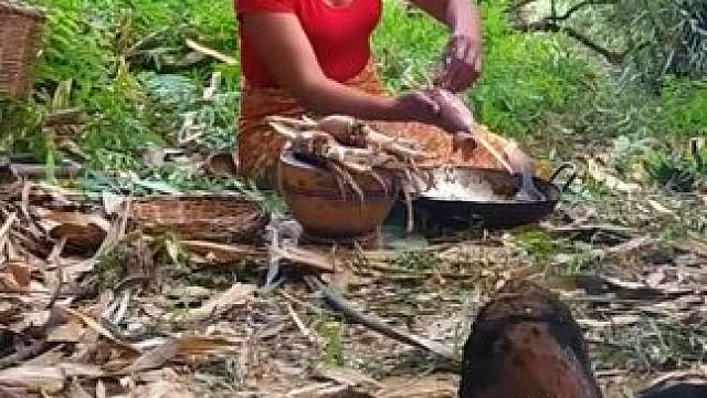 美味的烹饪鱿鱼与红蚂蚁蛋的晚餐-在森林中生存烹饪 #大山深处的味道 #户外美食 #