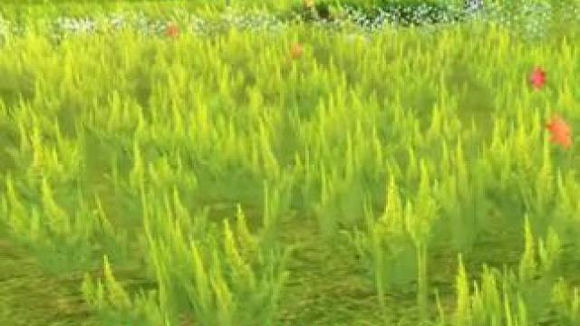 原来山海的细节还可以这么惊艳，花朵叶子和鸟的羽毛纹理都清晰可见，以及建筑的光暗度呈现 #妄想山海 #