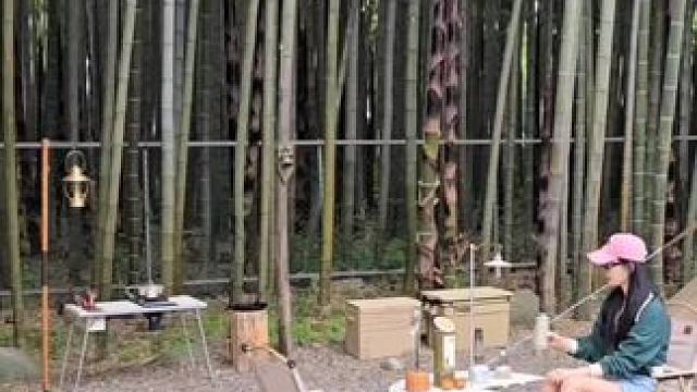 竹林旁露营 #露营报告