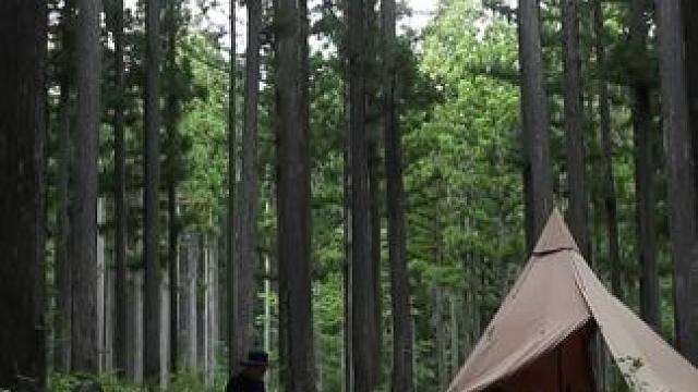 劈柴生火好生活 #露营报告