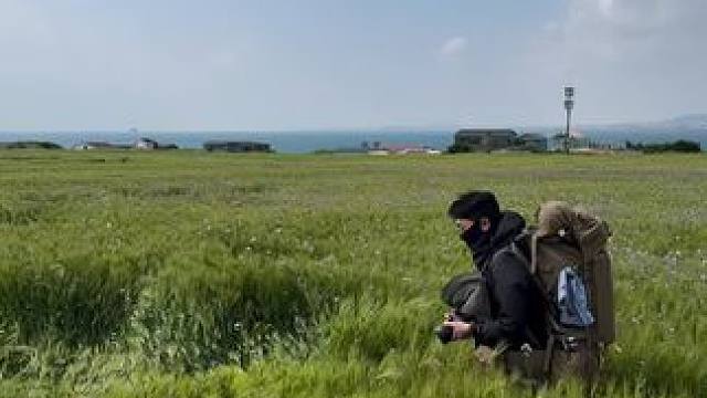 农田和荒野都很美 #露营报告