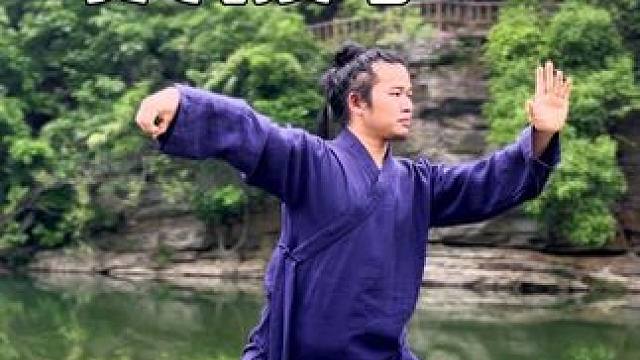 动静结合方为太极 #太极#武当功夫