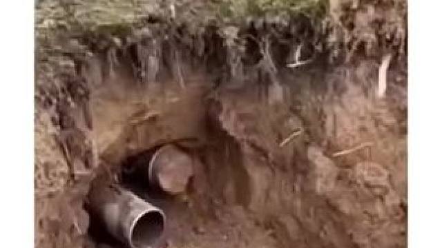 我发布了一个新视频，快来围观吧！