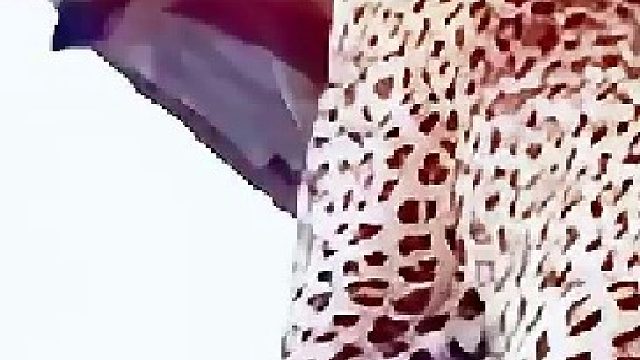 花豹刚抓到了一只羚羊，雄性花豹和鬣狗，还有雄狮都想抢食